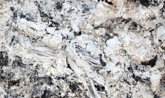 Wood ash closeup.